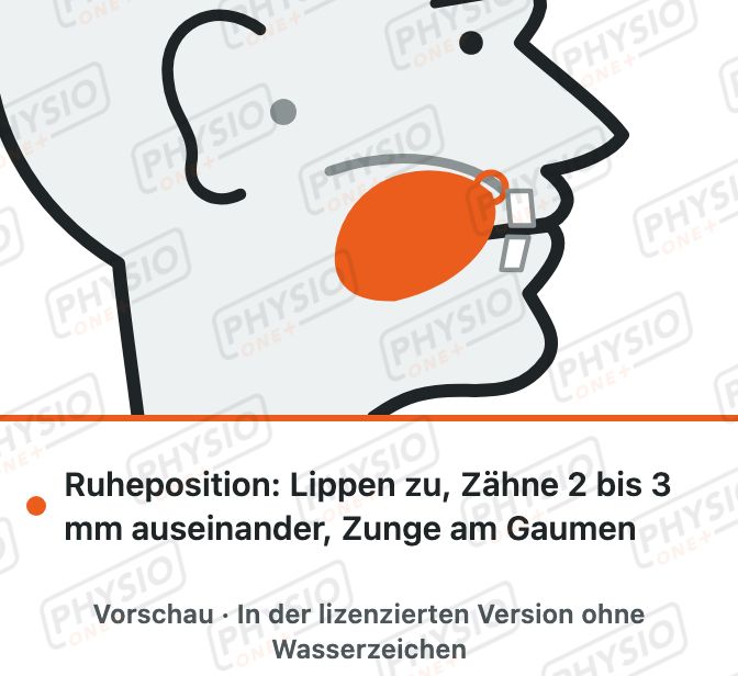 Vorschau: Zungenruheposition